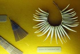 विचित्र विवाह विधि